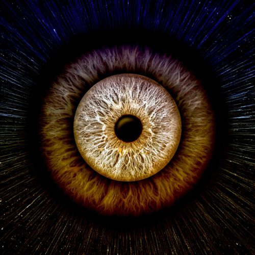 Irisfotografie