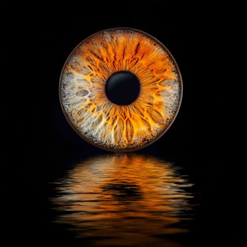 Irisfotografie