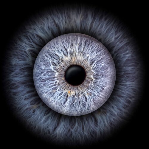 Irisfotografie