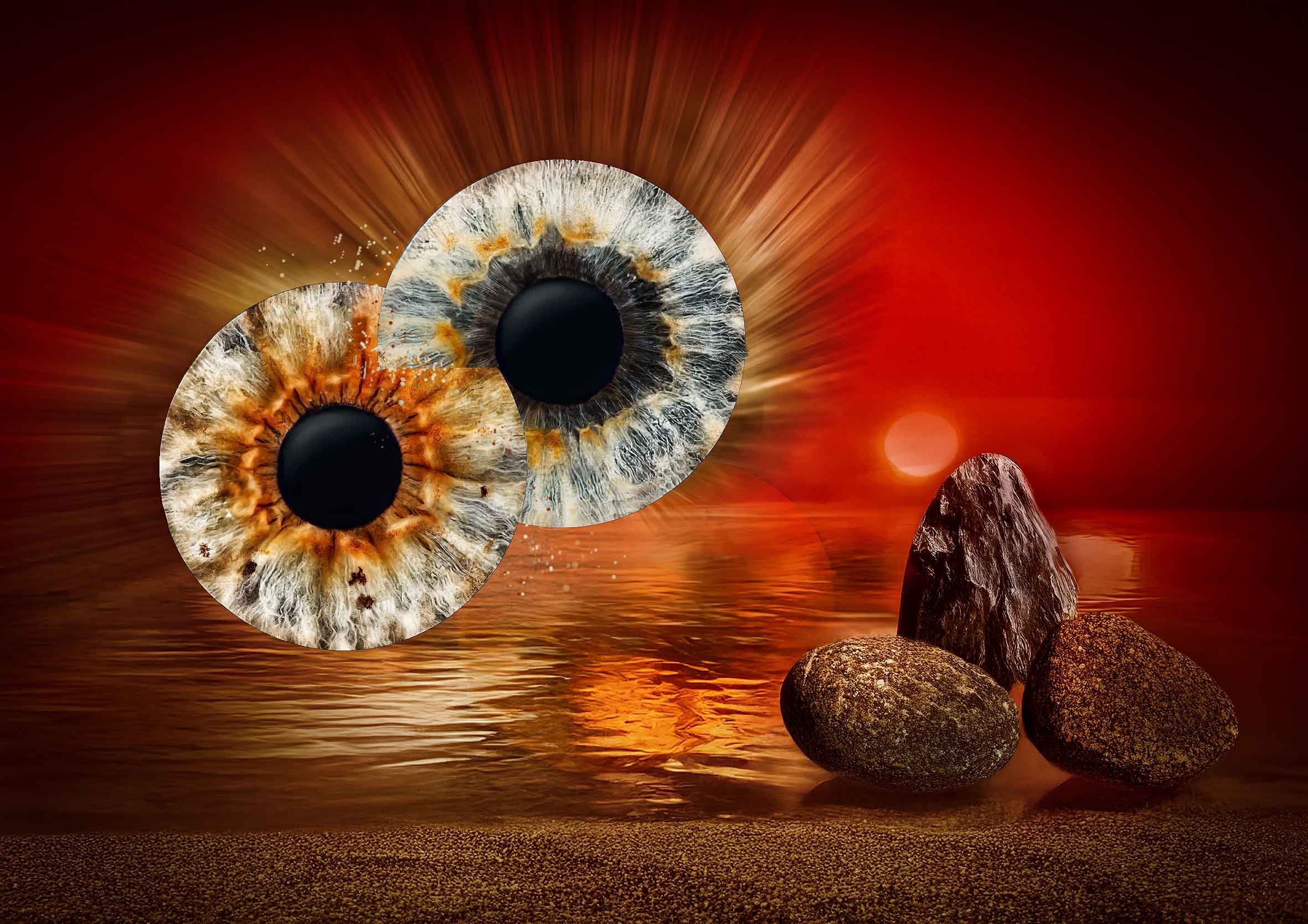 Irisfotografie